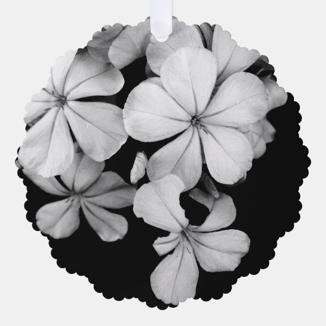 b&w Plumbago Ornament Karte (Vorderseite)