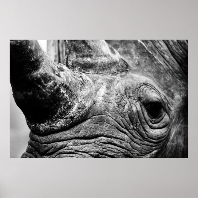 B&W Rhino Poster (Vorne)