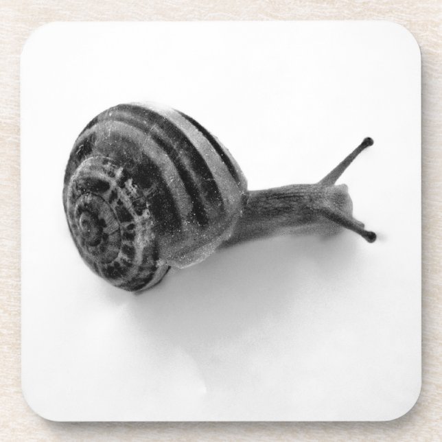 B&W Schnecke Getränkeuntersetzer (Vorderseite)