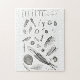 B&W Science Microbiology Magnification Microscopic Puzzle