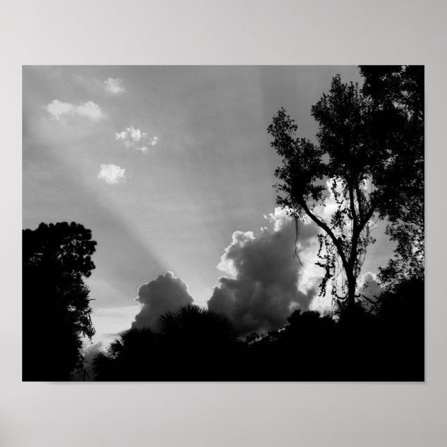B&W Sun Rays at Sunset - Sky Foto Poster (Vorne)