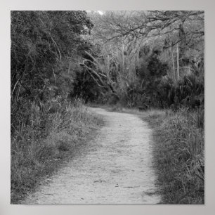 B&W-Waldweg Poster