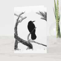 B&W Winter Raven Edgar Allan Poe