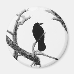 B&W Winter Raven Edgar Allan Poe Magnet
