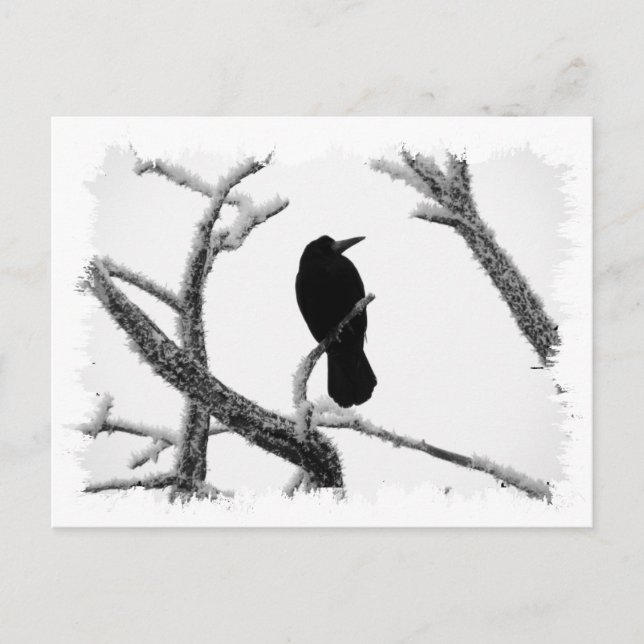 B&W Winter Raven Edgar Allan Poe Postkarte (Vorderseite)