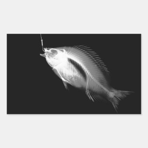 B&W X-Ray Fisch Knochen Rechteckiger Aufkleber