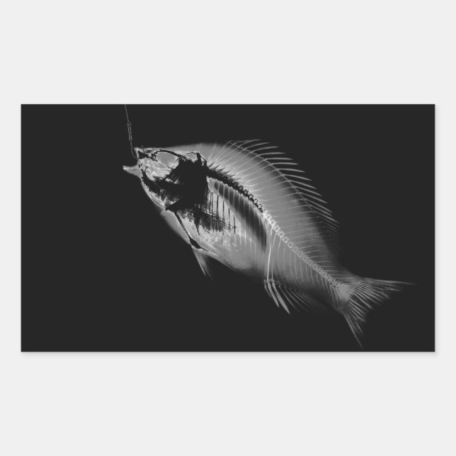 B&W X-Ray Fisch Knochen Rechteckiger Aufkleber (Vorderseite)