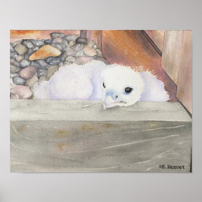 B.Weaver Orion design 14" x 11" Poster (Vorne)