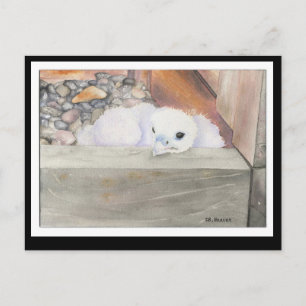 B. Weaver Orion Design Postkarte