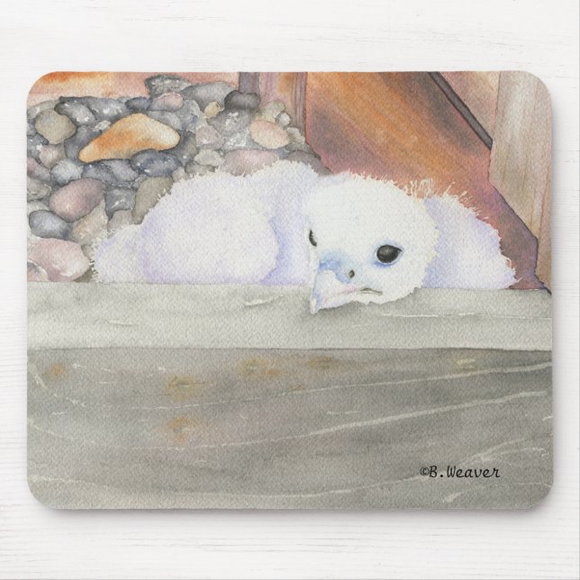 B.Weaver Orion Entwurf Mousepad (Vorne)