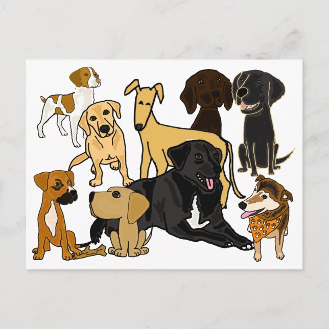 BA - Phantastische Hunde Hunde Postkarte (Vorderseite)