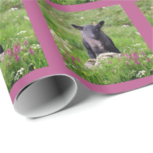 Baa Baa Black Sheep Geschenkpapier