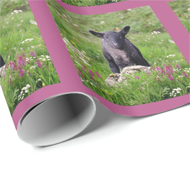 Baa Baa Black Sheep Geschenkpapier (Rolleneckpunkt)