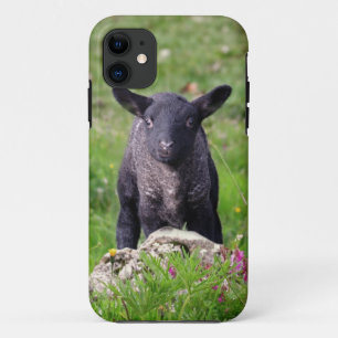 Baa Baa Black Sheep iPhone 5 Case-Mate Hülle