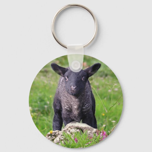Baa-Baa Black Sheep Keyring Schlüsselanhänger (Vorderseite)