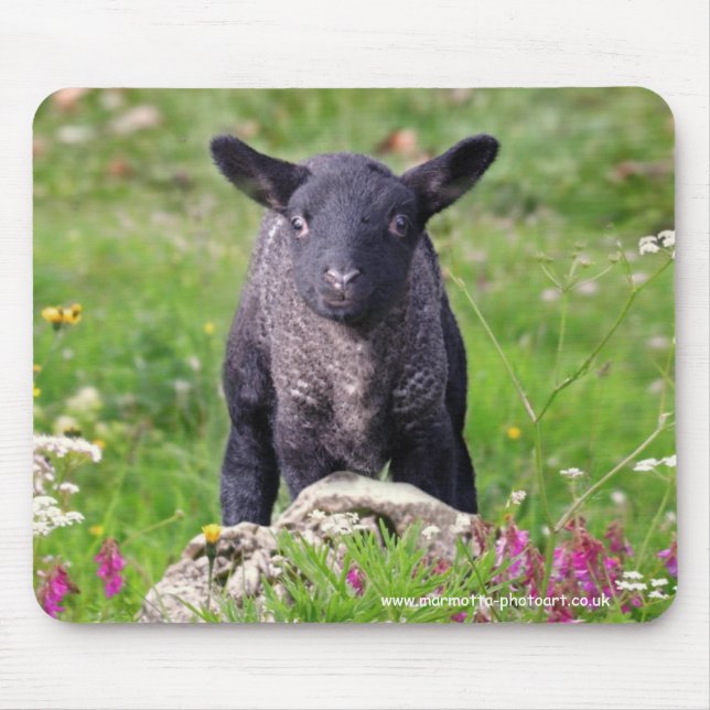Baa-Baa Black Sheep Mousemat Mousepad (Vorne)
