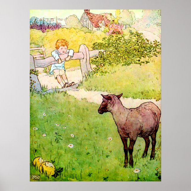 Baa Baa Black Sheep Poster (Vorne)