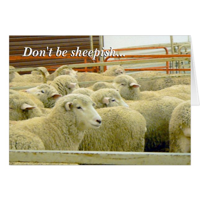 Baaaaa! - Behalten Sie in der Touch! (Vorderseite (Horizontal))