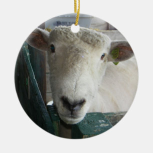 BAAAAAAAAAAAAAAAAAA SHEEP ORNANATION KERAMIKORNAMENT