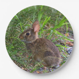 Babby Bunny Papierplatte Pappteller