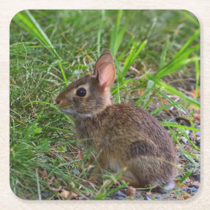 Babby Bunny Papieruntersetzer Rechteckiger Pappuntersetzer