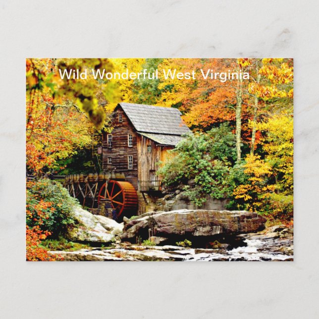 Babcock Staat Park Grist Mill Postkarte (Vorderseite)