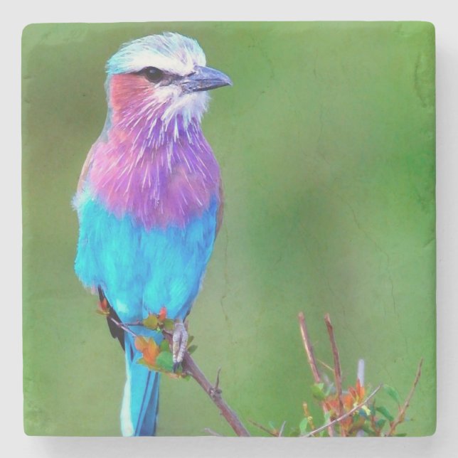 _babero Bird blue Steinuntersetzer (Vorderseite)