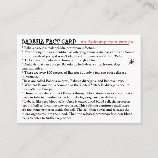 Babesia Fact Card Visitenkarte (Vorderseite)