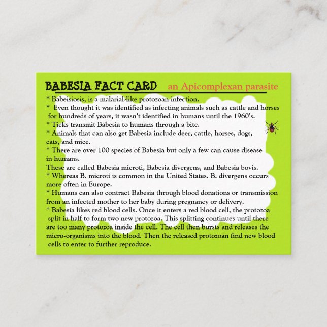 Babesia Fact Educational Card Visitenkarte (Vorderseite)