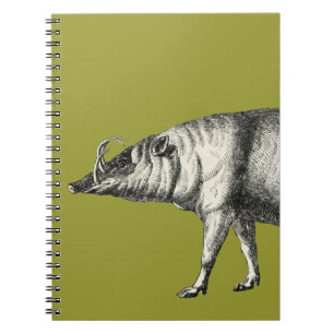 Babirusa-wildes Schwein-Eber-Schwein Warthog Notizblock