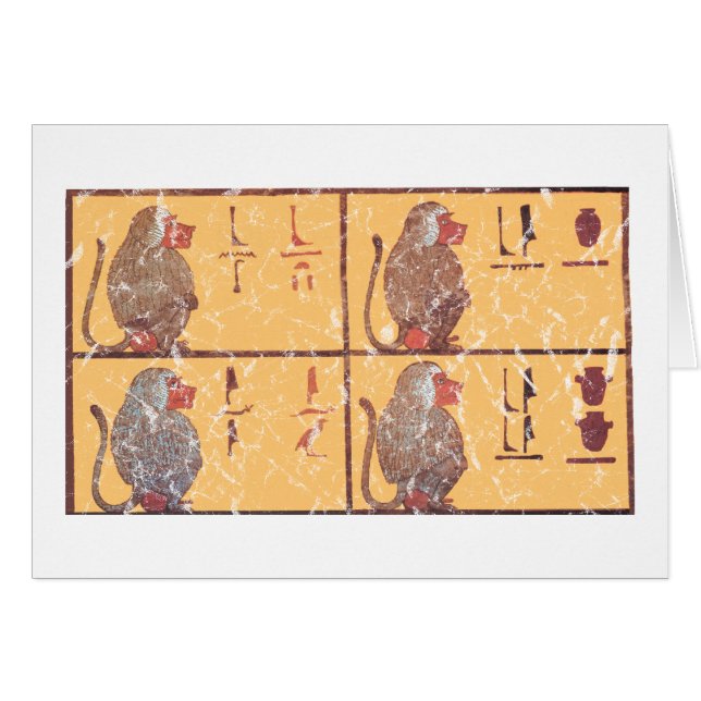 Baboon (Vorderseite (Horizontal))