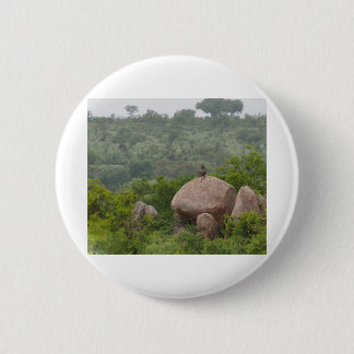 Baboon auf einem Felsen Button