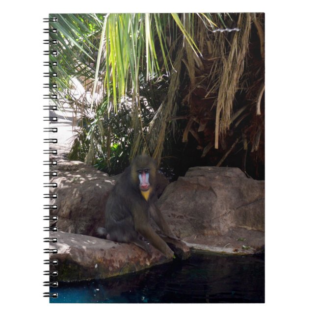 Baboon im Paradies, Notebook Notizblock (Vorderseite)