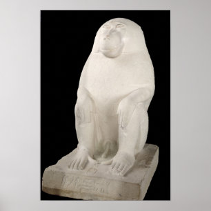 Baboon, Mittleres Königreich, möglicherweise 7. Dy Poster