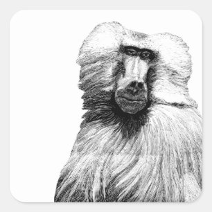 Baboon Monkey Jungle Safari Illustration Art Quadratischer Aufkleber