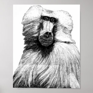 Baboon Monkey Jungle Safari Poster