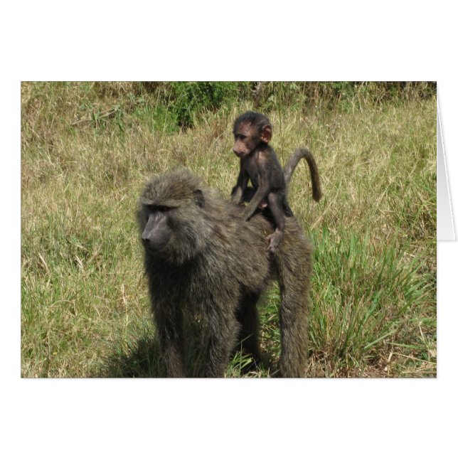 Baboon Mutter und Baby (Vorderseite (Horizontal))