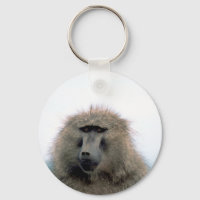 Baboon