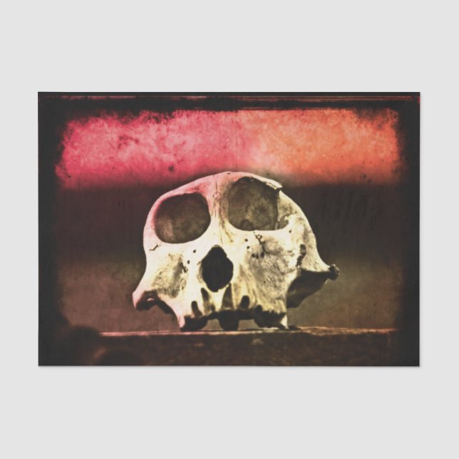 Baboon Skull Sunset Seidenpapier (Vorderseite)