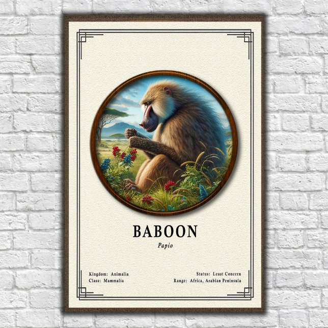 Baboon Zoology Series Poster (Von Creator hochgeladen)