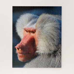 Baboons. Puzzle