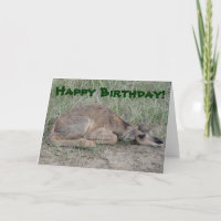 Baby A6 Pronghorn Antilope