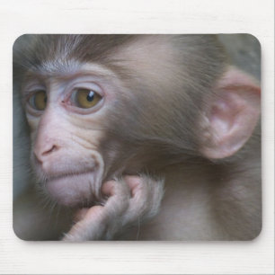 Baby-Affe Mousepad