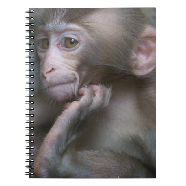 Baby-Affe Notizblock (Vorderseite)
