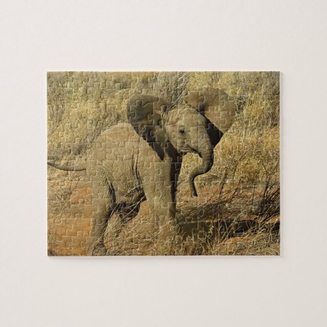 Baby African Elephant, Loxodonta Africana, Puzzle (Horizontal)
