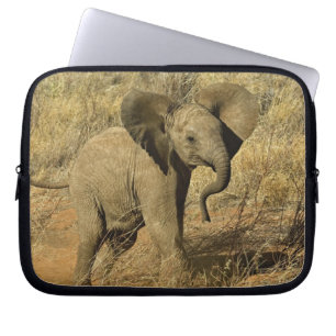 Baby Afrikanischer Elefant, Loxodonta Africana, Laptopschutzhülle