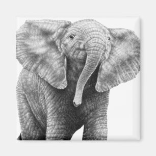 Baby-afrikanischer Elefant-Magnet Magnet