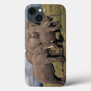 Baby Afrikanischer Elefant mit Familie Case-Mate iPhone Hülle