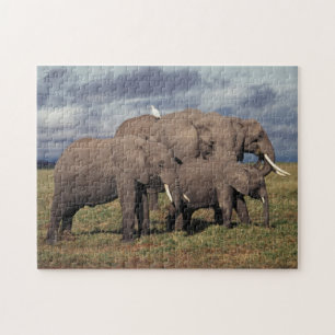 Baby Afrikanischer Elefant mit Familie Puzzle