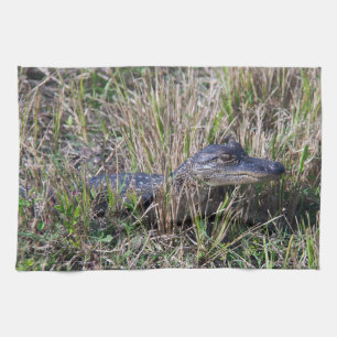 Baby-Alligator in Sumpfgras-Fotografie Geschirrtuch